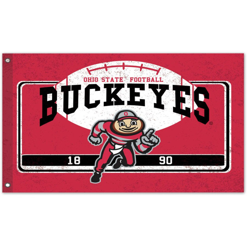 Ohio State Oversized Team Flag - Same Day Delivery