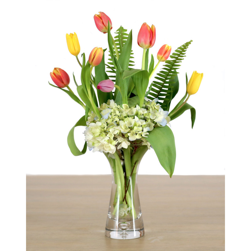 Cool Tulips - Same Day Delivery