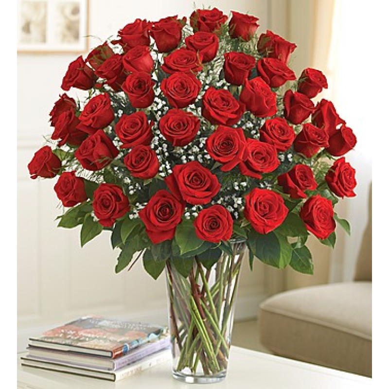 48 Red Roses Arranged with Babies Breath - Same Day Delivery