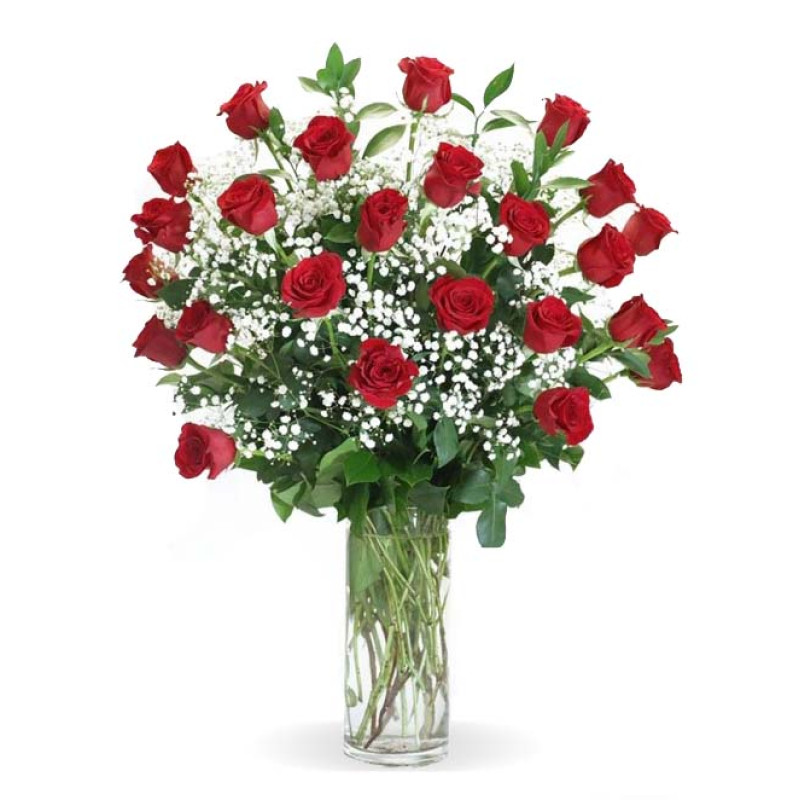 Two Dozen Roses Arranged in a Vase - Same Day Delivery