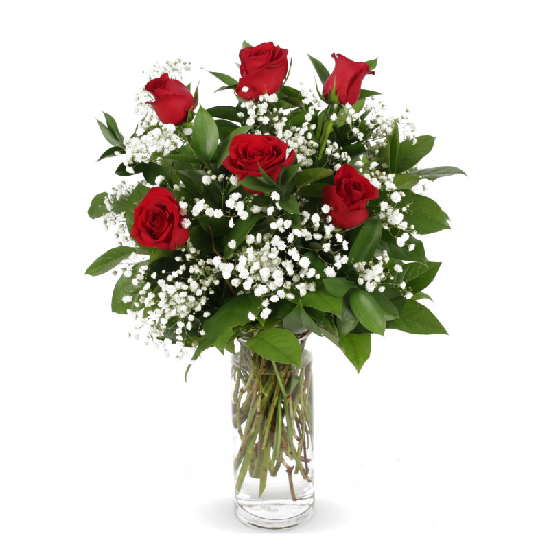 6 Roses Arranged In A Vase - Same Day Delivery