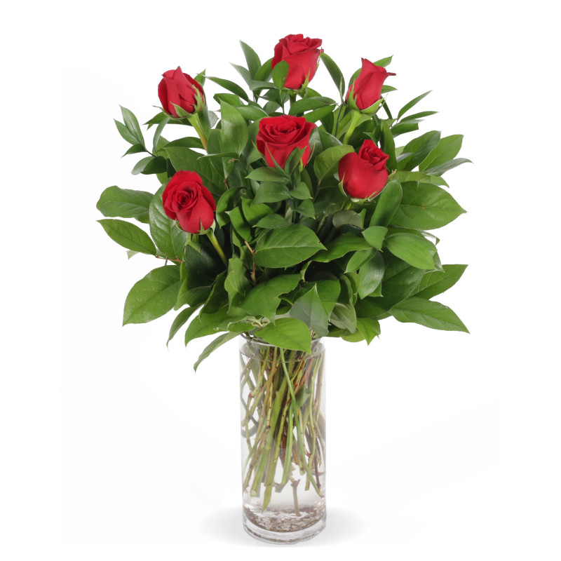 6 Red Roses Arranged for Anniversary - Same Day Delivery