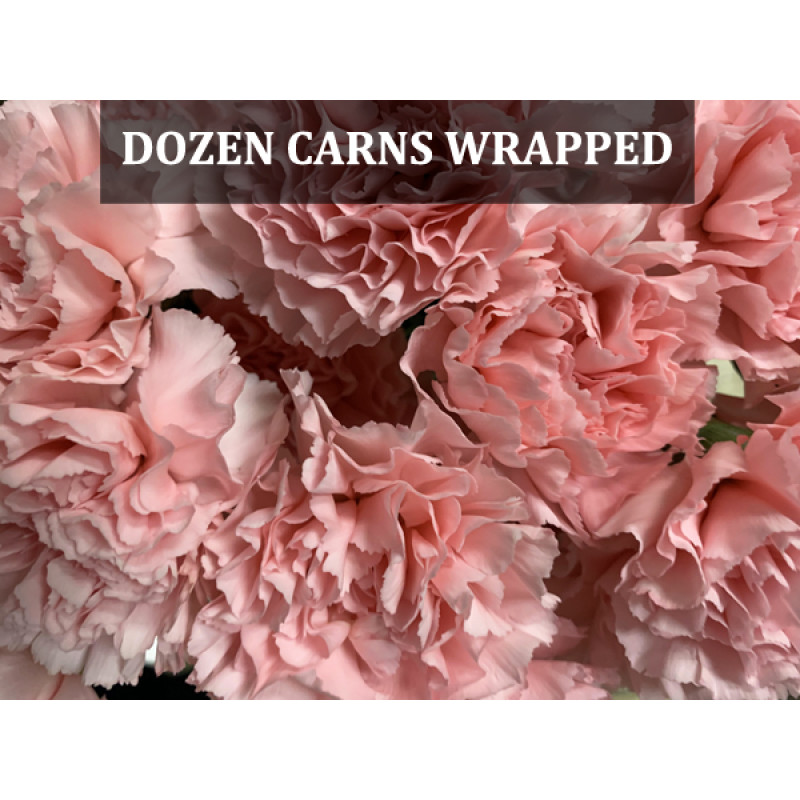 Dozen Carnations Wrapped - Same Day Delivery