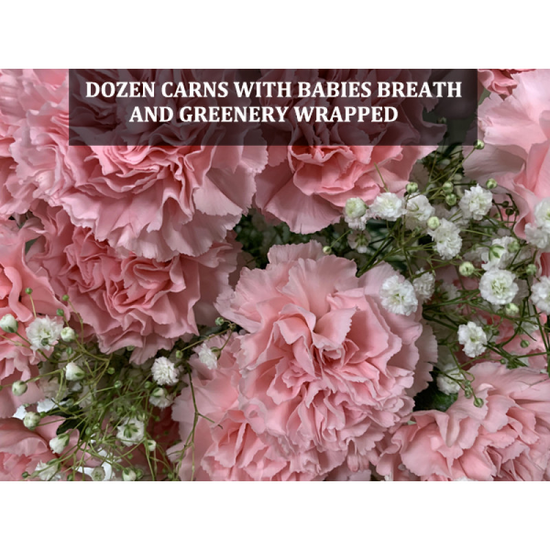 Dozen Carnations with Babies Breath Wrapped - Same Day Delivery