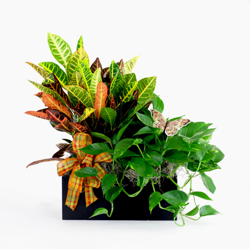 Fall Connection Planter - Same Day Delivery