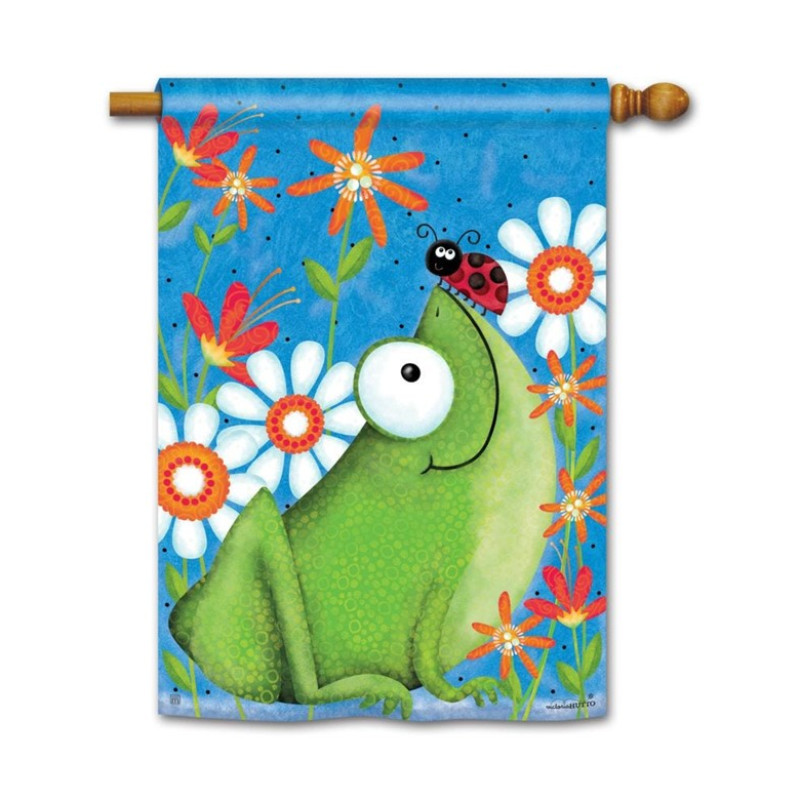 FROG FUN HOUSE FLAG - Same Day Delivery