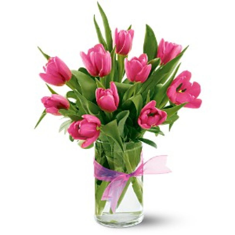 Precious Pink Tulips - Same Day Delivery