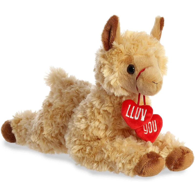 Llama Lluv You  - Same Day Delivery