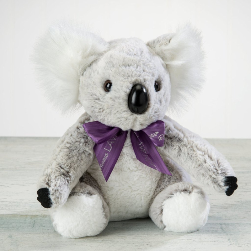 Huggable Lavender Koala Bear - Same Day Delivery