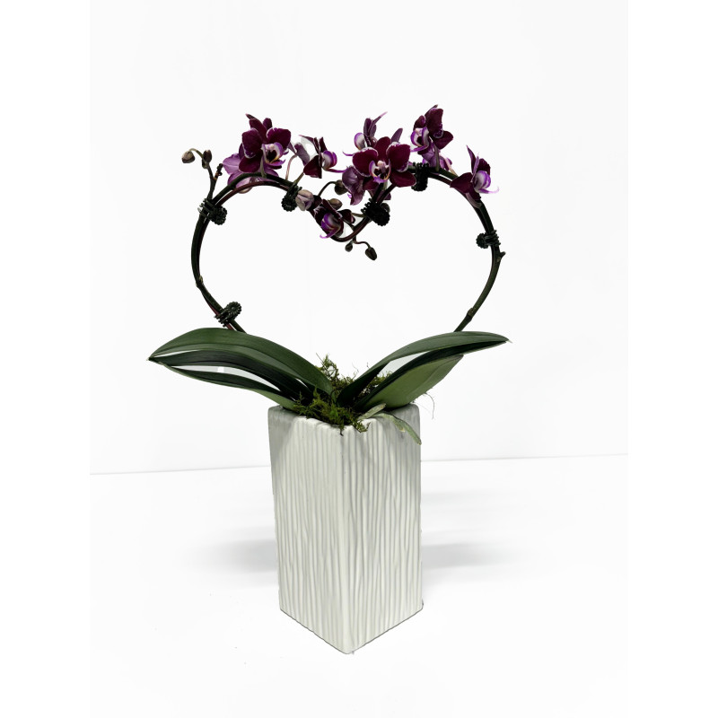 Heart Shaped Orchid - Same Day Delivery
