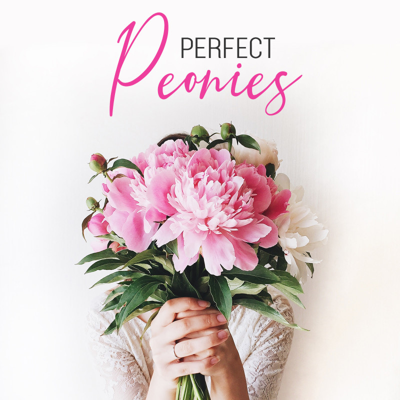 Perfect Peonies - Same Day Delivery