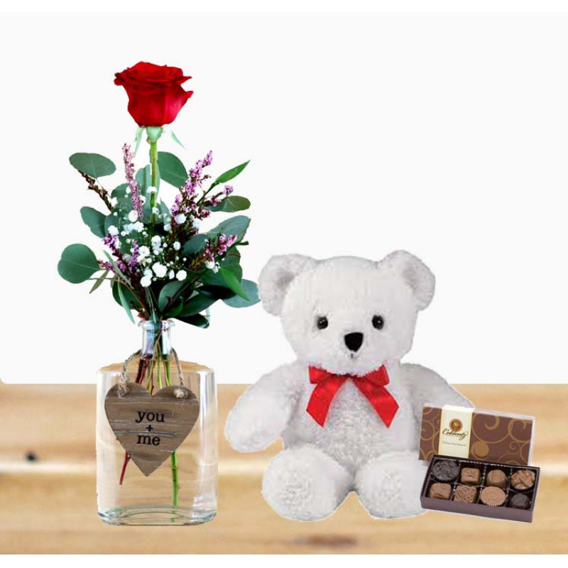 Single Rose, Chocolate and  Bear Package - Same Day Delivery