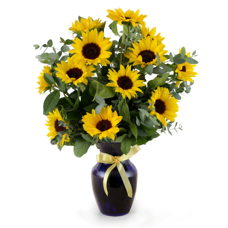 Yellow Sunflower Glow  - Same Day Delivery