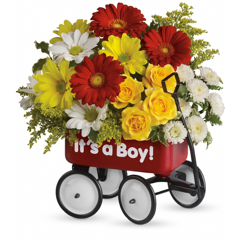 Baby Boy Wow Wagon - Same Day Delivery