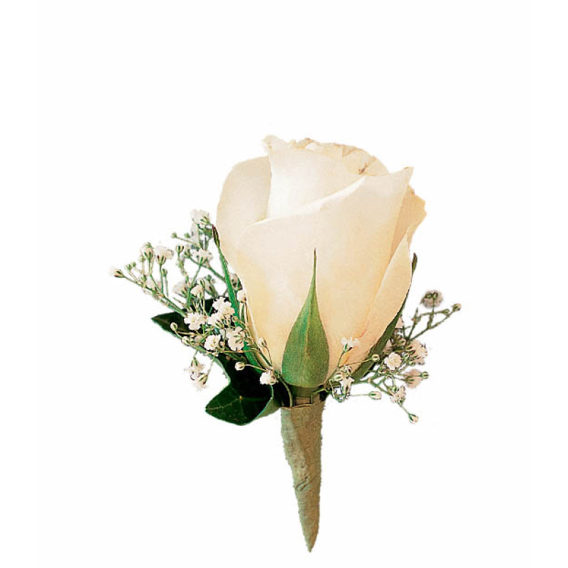 White Rose Boutonniere - Same Day Delivery