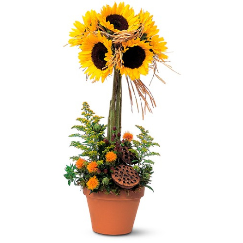 Sunflower Topiary - Same Day Delivery