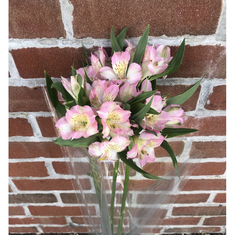 Cut Flower Bouquet (Alstroemeria) - Same Day Delivery