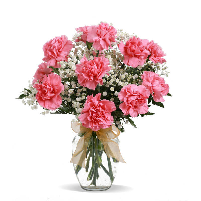 Dozen Pink Carnations - Same Day Delivery
