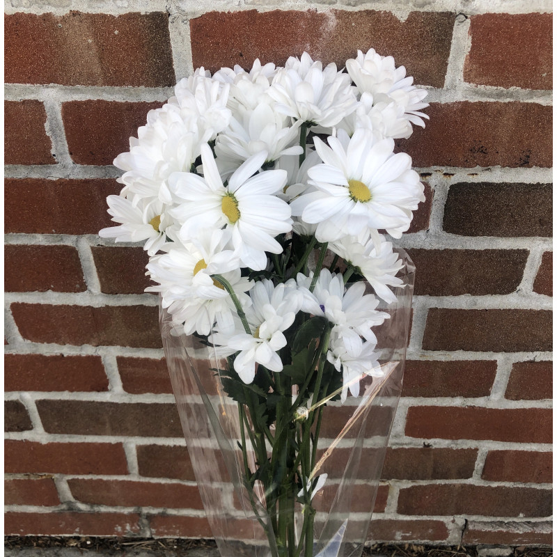 Cut Flower Bouquet (Daisies) - Same Day Delivery
