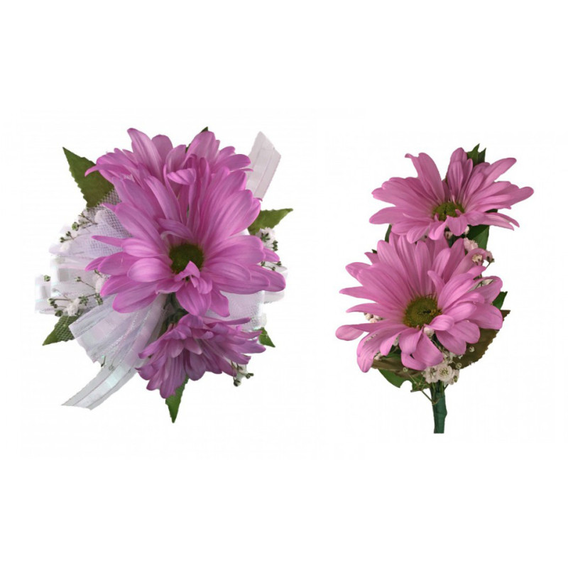 Three Daisy Wrist Corsage - Same Day Delivery