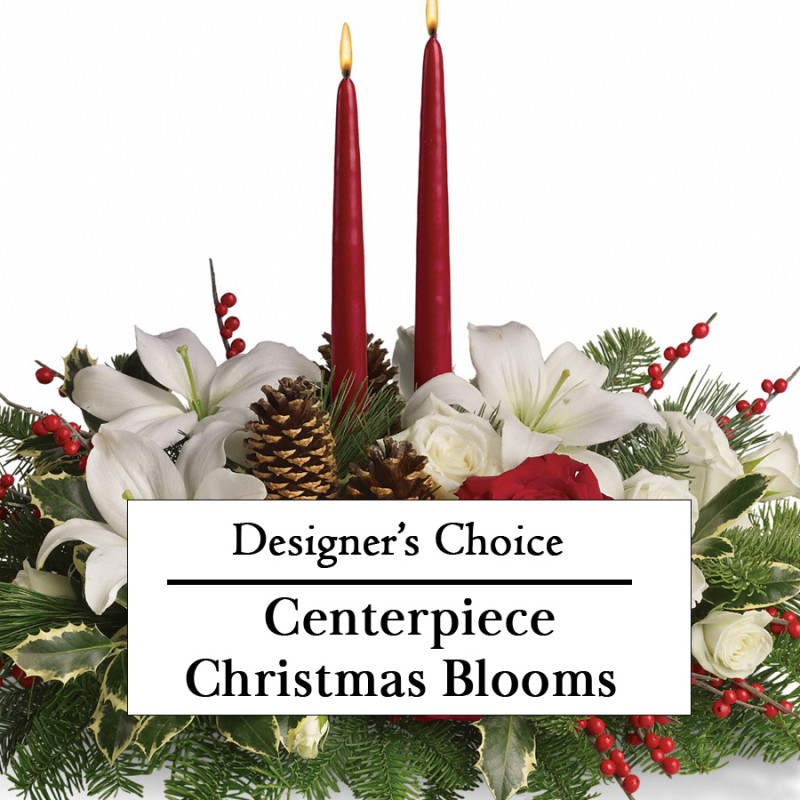 Designer Choice Centerpiece Christmas Blooms - Same Day Delivery