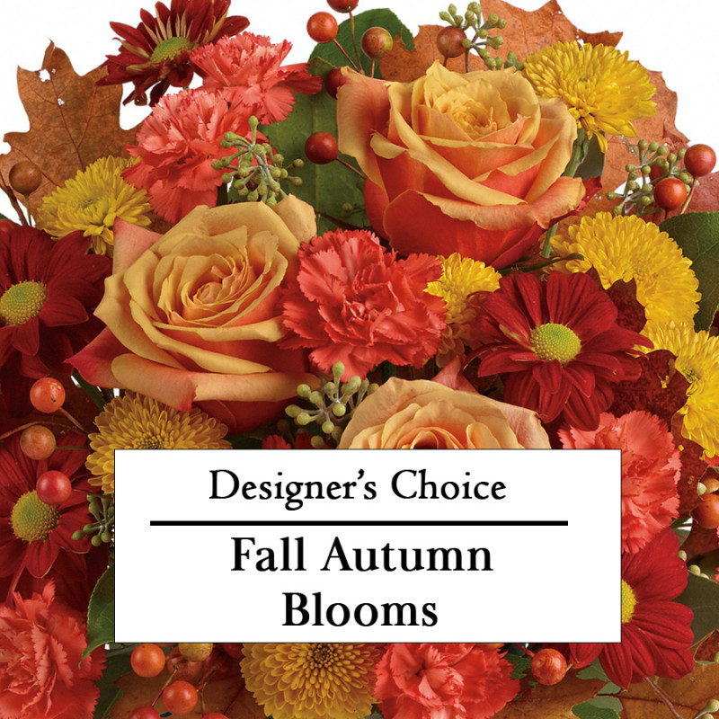 Fall Autumn Designer Choice Blooms - Same Day Delivery