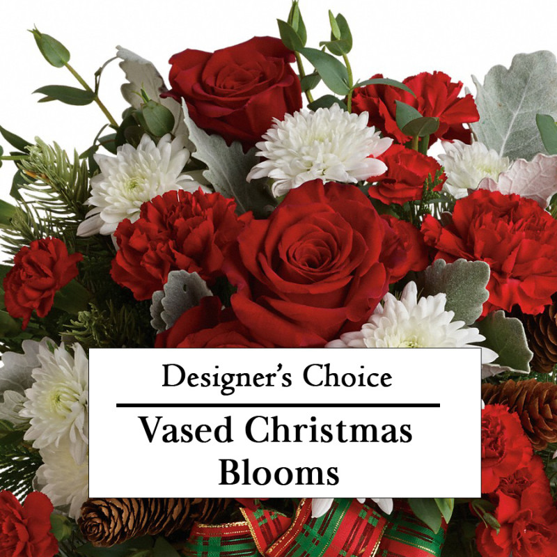 Designer Choice Vased Christmas Blooms - Same Day Delivery