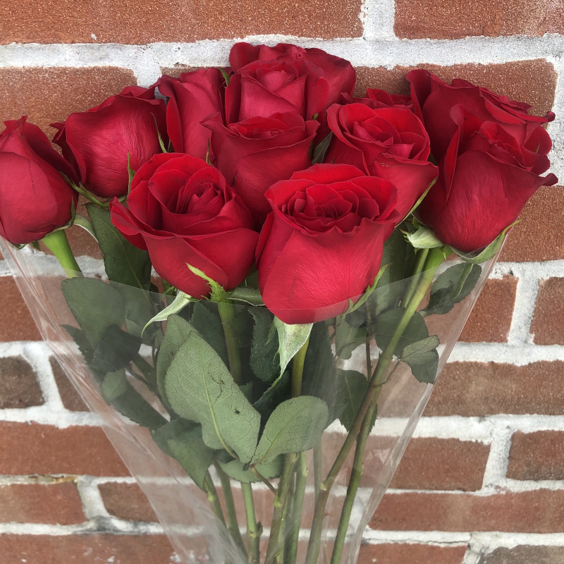 Dozen Roses Wrapped in Paper - Same Day Delivery