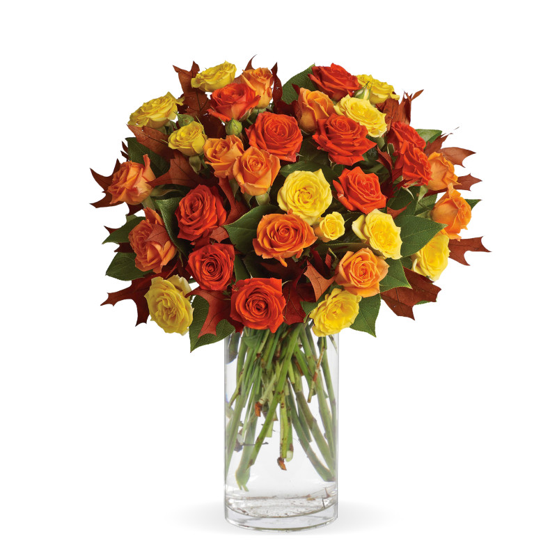 Fabulous Fall Roses - Same Day Delivery