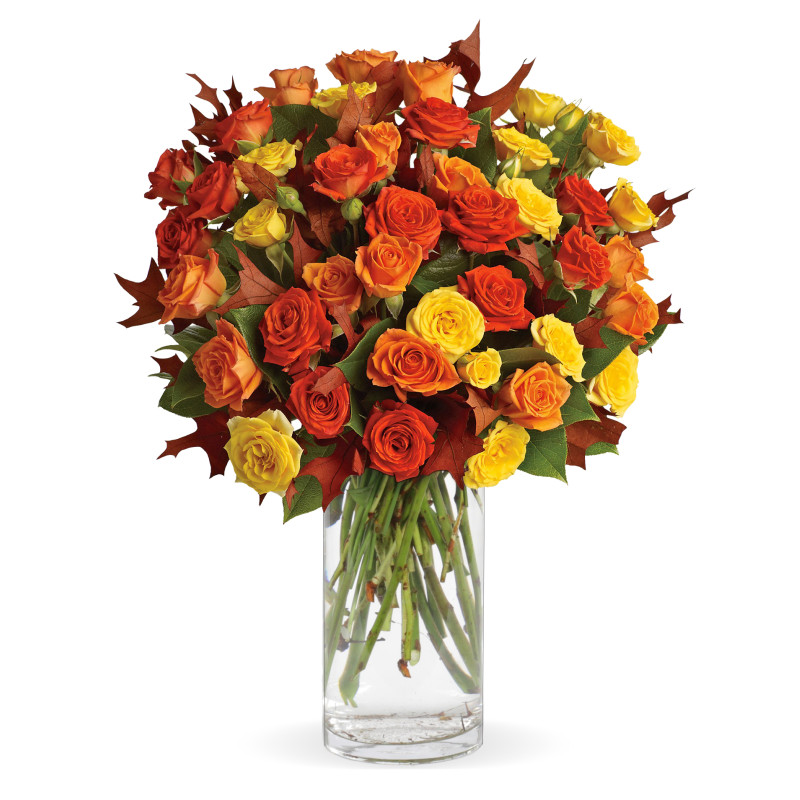 Fabulous Fall Roses - Same Day Delivery