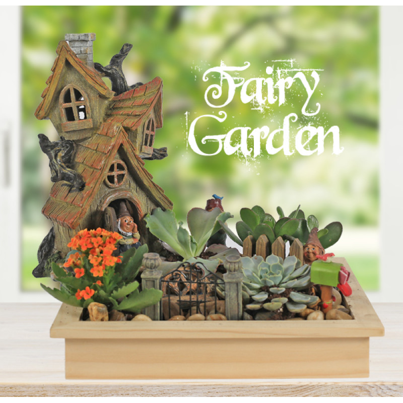 Fairy Graden of Columbus - Same Day Delivery
