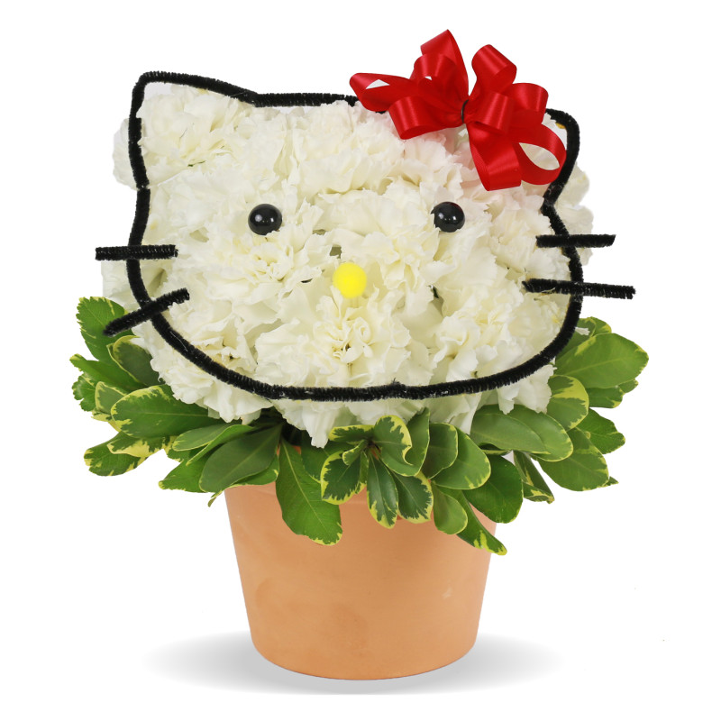 Hello Kitty Get Well - Same Day Delivery