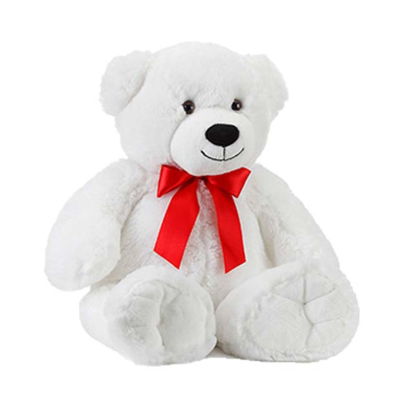 Medium White Teddy Bear - Same Day Delivery