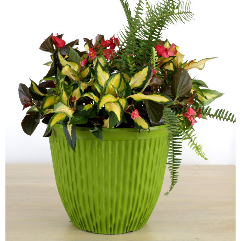 Outdoor Summer Plants - Extra Large Patio Planter (Green) - #1 Florist in  Central Ohio - Flowerama Columbus - Same Day Flower Delivery » Flowerama  Columbus