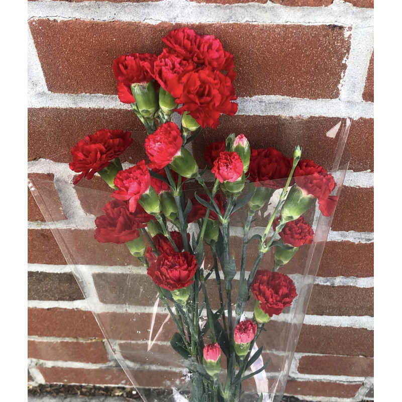 Cut Flower Bouquet (Mini Carnations) - Same Day Delivery