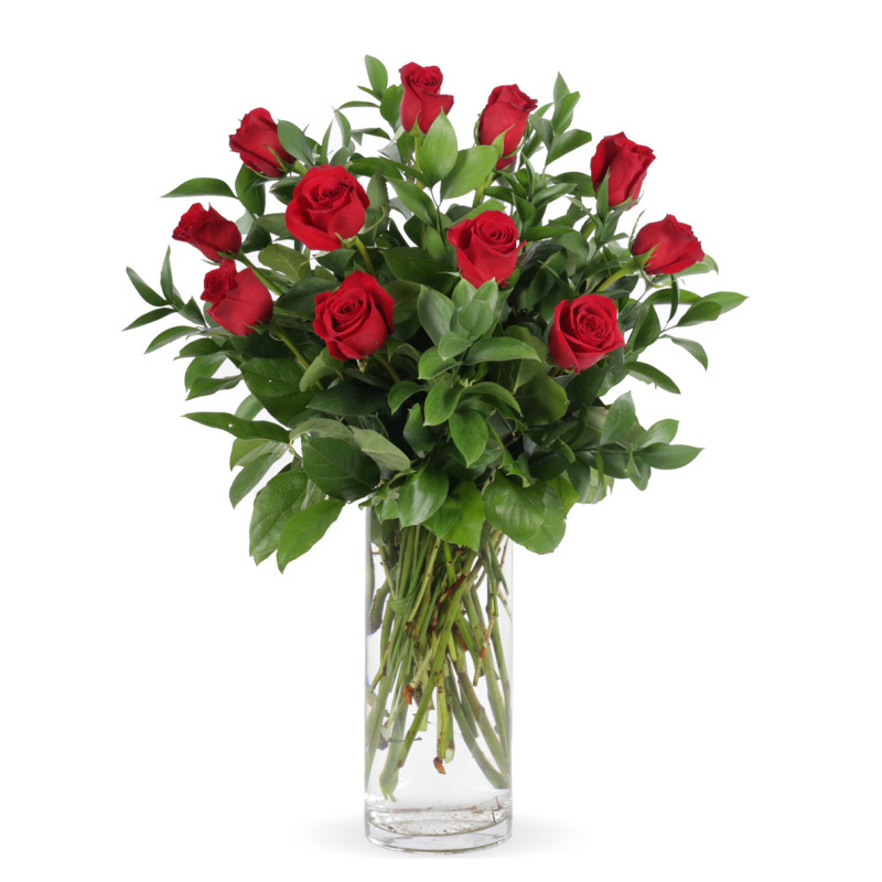 Get Well Traditional Dozen Roses  - Same Day Delivery