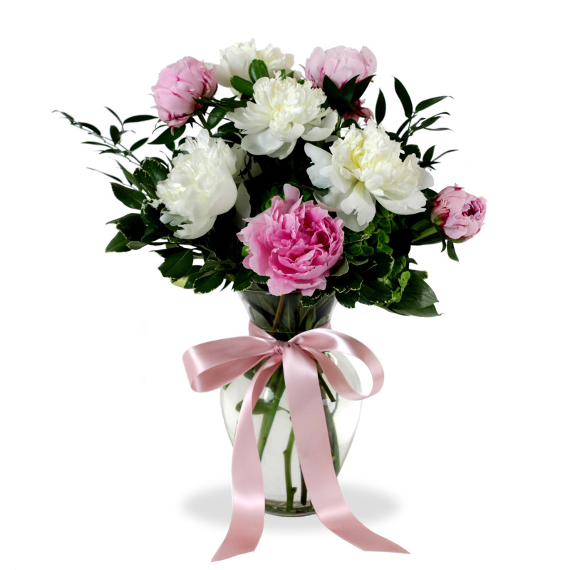 Peonies Garden - Same Day Delivery