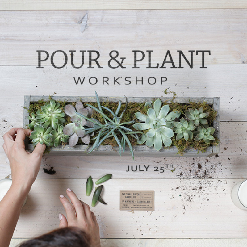 Pour & Plant Workshop - Same Day Delivery