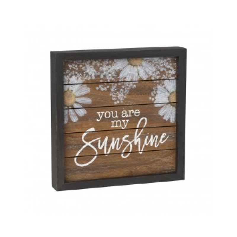 You Are My Sunshine Sign - Same Day Delivery