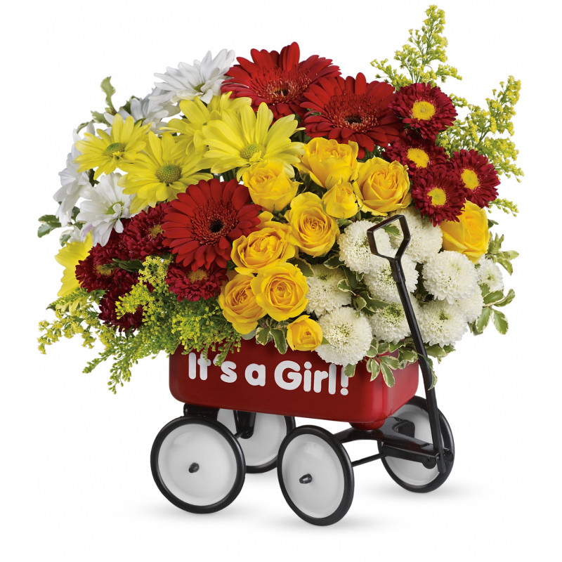 Baby Girl Wow Wagon - Same Day Delivery