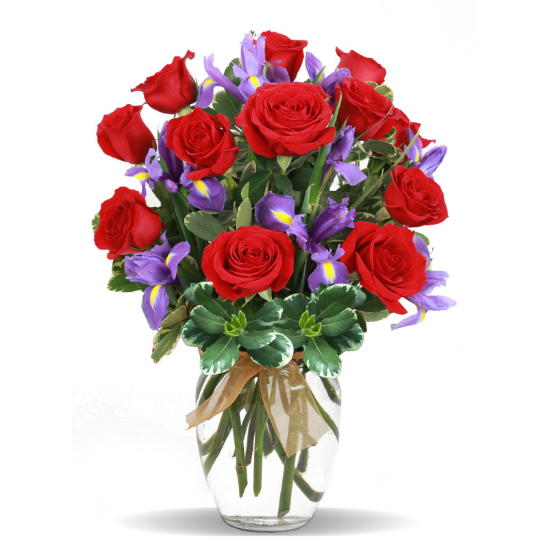 Red Roses and Iris - Same Day Delivery