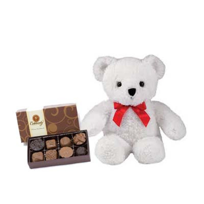 Small Bear & Chocolates - Same Day Delivery