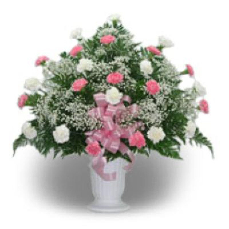 Twenty-Four Carnation Urn Pink & White - Same Day Delivery