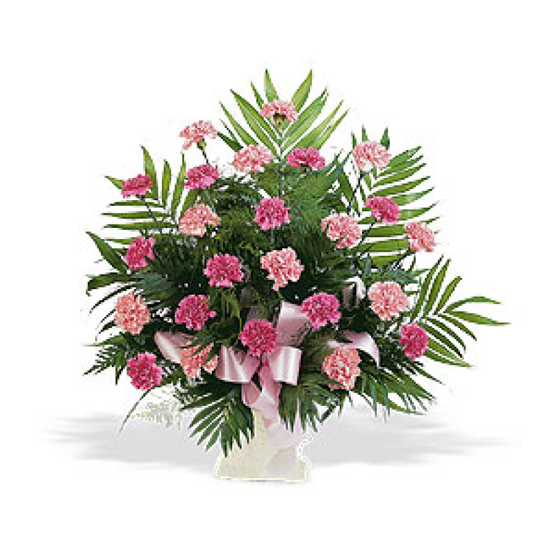 Classic Carnation Arrangement - Same Day Delivery