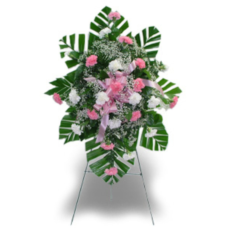 Twenty-Four Carnation Easel Pink & White - Same Day Delivery