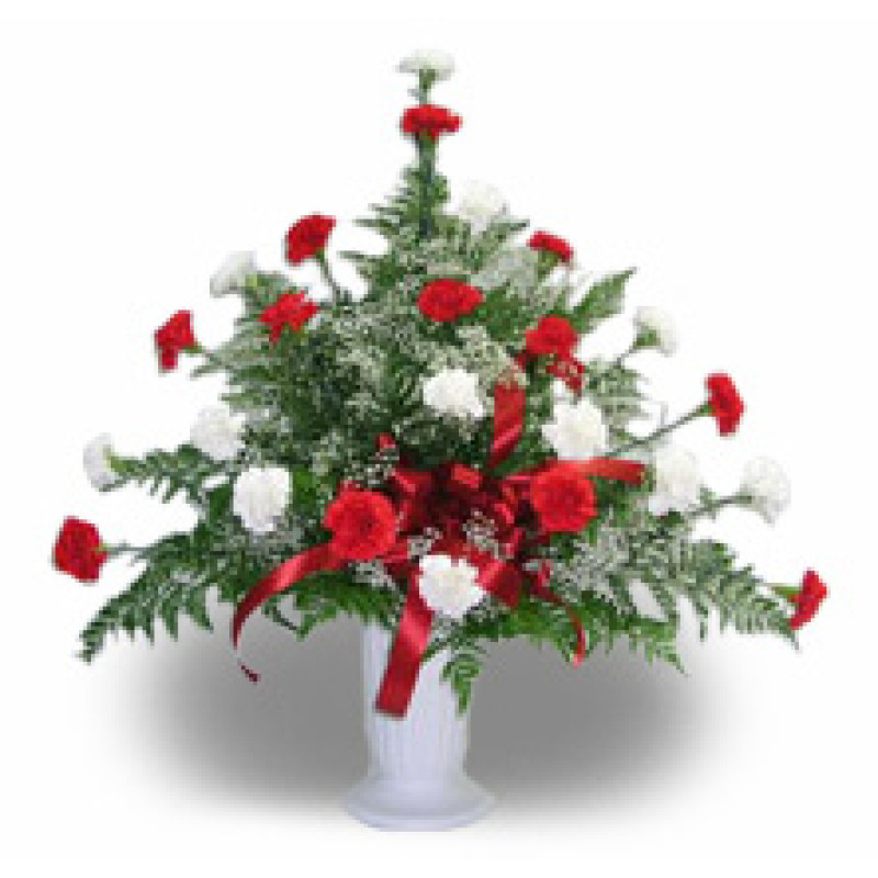 Twenty-Four Carnation Urn Red & White - Same Day Delivery