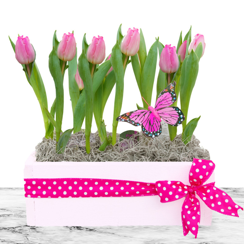 Sweet Tulips in Artful Box - Same Day Delivery