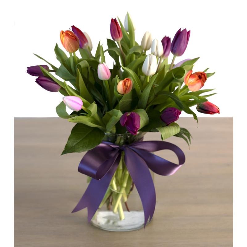 Spring Tulips - Same Day Delivery