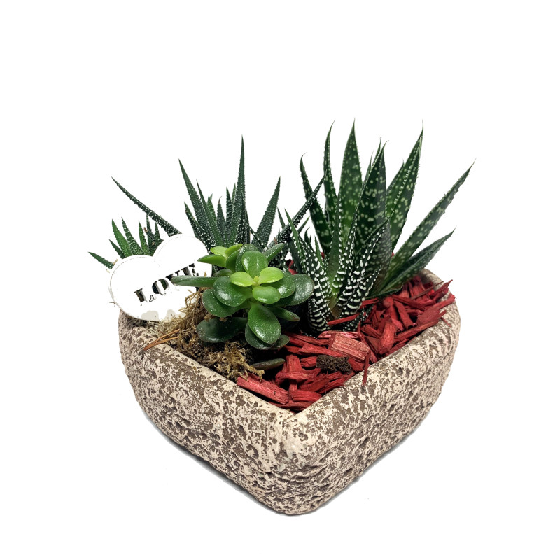 Heart Succulent Garden - Same Day Delivery