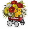 Baby Boy Wow Wagon: Fancy